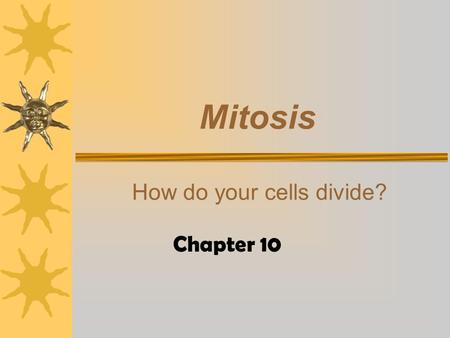 Mitosis How do your cells divide? Chapter 10 Why Do Cells Divide? Surface area Damaged cells Sex cells.