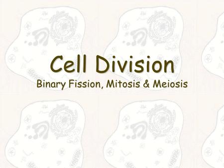 Cell Division Binary Fission, Mitosis & Meiosis. “Where a cell exists, there must have been a preexisting cell, just as the animal arises only from an.