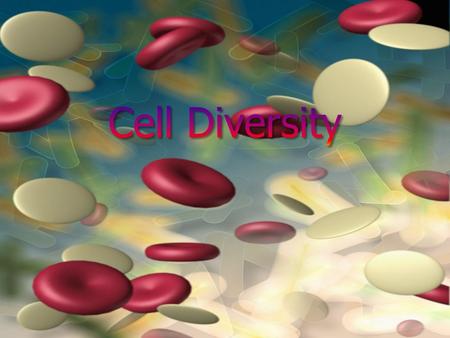 Cell Diversity.
