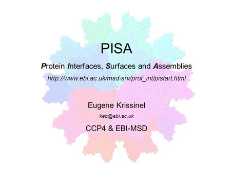 Protein Interfaces, Surfaces and Assemblies