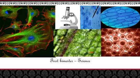 First bimester – Science. Did you remember what we saw in this bimester? NOTE: To change images on this slide, select a picture and delete it. Then click.