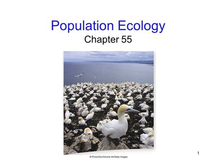 1 Population Ecology Chapter 55. 2 Environmental Challenge Ecology: the study of how organisms relate to one another and to their environments Abiotic: