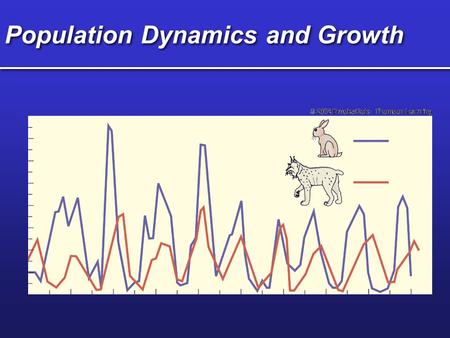 Population Dynamics and Growth. Exponential Growth Time (t) Population size (N) -ideal habitat -maximum reproduction -unlimited resources Increase often.