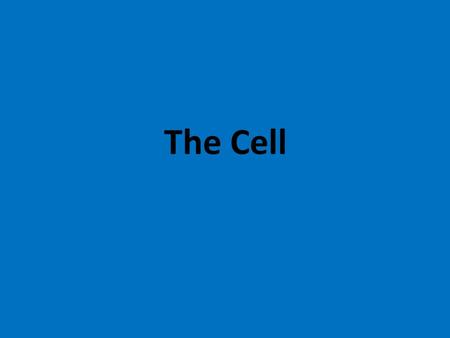 The Cell. Living Organisms All organisms except Viruses are cellular Only Two fundamental types.