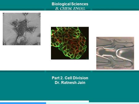 Biological Sciences B. CHEM. ENGG. Part 2. Cell Division Dr. Ratnesh Jain.