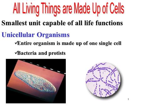 All Living Things are Made Up of Cells