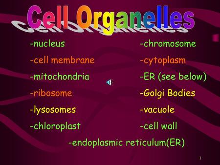 1 -nucleus -chromosome -cell membrane-cytoplasm -mitochondria-ER (see below) -ribosome-Golgi Bodies -lysosomes-vacuole -chloroplast-cell wall -endoplasmic.