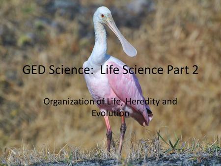 GED Science: Life Science Part 2 Organization of Life, Heredity and Evolution.