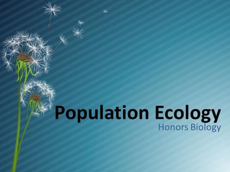Population Ecology Honors Biology Life takes place in populations Population – group of individuals of same species in same area at same time  rely.