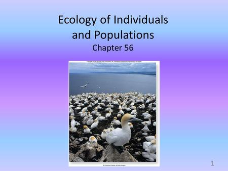 Ecology of Individuals and Populations Chapter 56