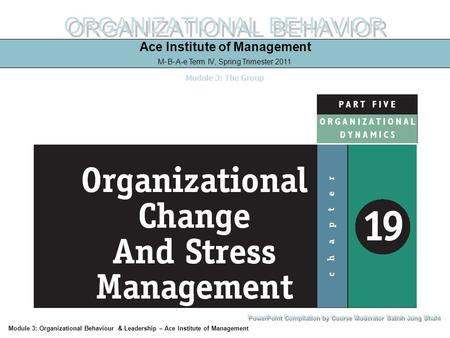 ORGANIZATIONAL BEHAVIOR Ace Institute of Management M-B-A-e Term IV, Spring Trimester 2011 Module 3: The Group Module 3: Organizational Behaviour & Leadership.