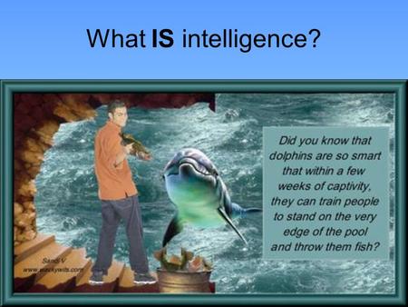 What IS intelligence?.