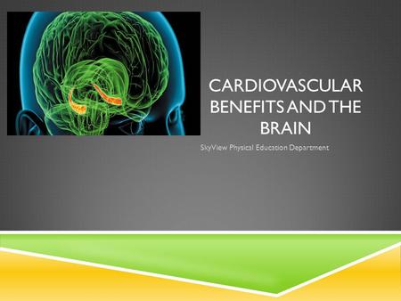 CARDIOVASCULAR BENEFITS AND THE BRAIN SkyView Physical Education Department.
