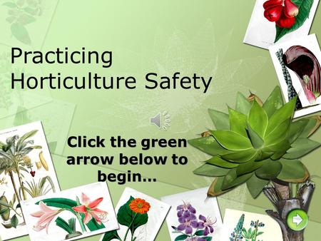 Click the green arrow below to begin… Practicing Horticulture Safety.