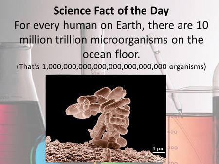 Science Fact of the Day For every human on Earth, there are 10 million trillion microorganisms on the ocean floor. (That’s 1,000,000,000,000,000,000,000,000.