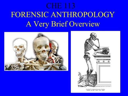 CHE 113 1 FORENSIC ANTHROPOLOGY A Very Brief Overview CHE 113.