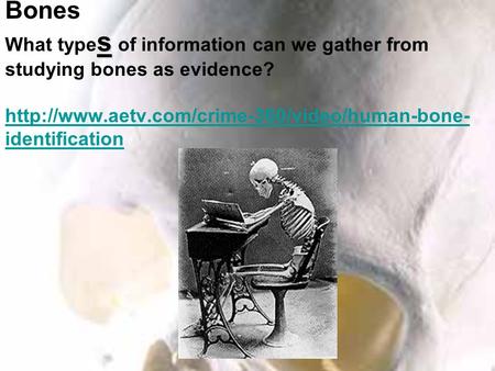 Forensic Anthropology s Forensic Anthropology : S tudying Bones What type s of information can we gather from studying bones as evidence?