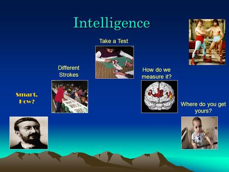 Intelligence Smart, How? Different Strokes Take a Test How do we measure it? Where do you get yours?