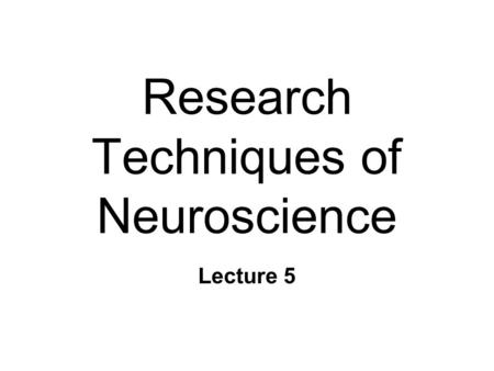 Research Techniques of Neuroscience Lecture 5. Studying the Brain & Behavior n Anatomy & behavior l Damage  behavior changes l Structural differences.