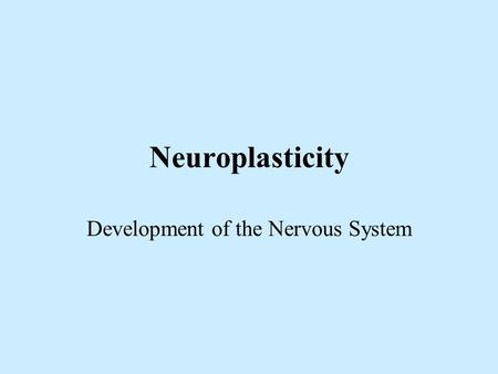 Neuroplasticity Development of the Nervous System.