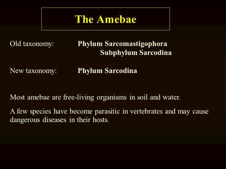 The Amebae Old taxonomy: Phylum Sarcomastigophora Subphylum Sarcodina