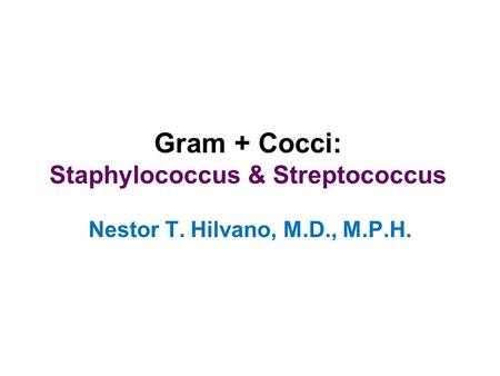 Gram + Cocci: Staphylococcus & Streptococcus Nestor T. Hilvano, M.D., M.P.H.