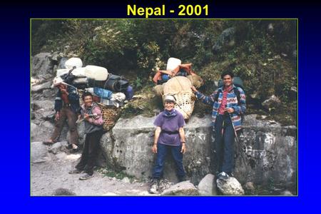 Nepal - 2001. STAPHYLOCOCCUS n Staphylococcus causes diseases ranging from minor skin infections to life-threatening infections such as pneumonia, endocarditis,