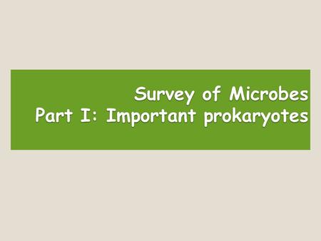 Survey of Microbes Part I: Important prokaryotes.