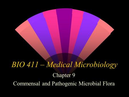 BIO 411 – Medical Microbiology Chapter 9 Commensal and Pathogenic Microbial Flora.