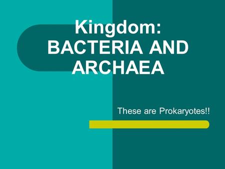 Kingdom: BACTERIA AND ARCHAEA These are Prokaryotes!!