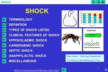 SHOCK TERMINOLOGY DEFINITION TYPES OF SHOCK LISTED