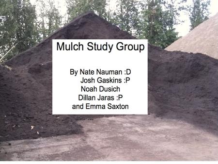 Mulch Study Group By Nate Nauman :D Josh Gaskins :P Noah Dusich Dillan Jaras :P and Emma Saxton.