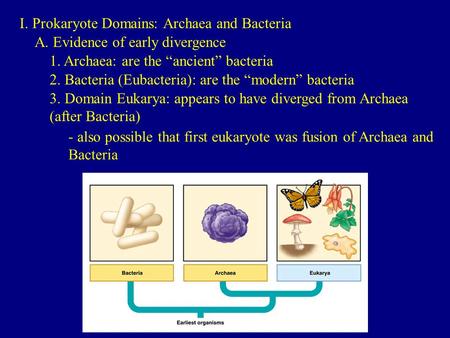 I. Prokaryote Domains: Archaea and Bacteria A. Evidence of early divergence 1. Archaea: are the “ancient” bacteria 2. Bacteria (Eubacteria): are the “modern”