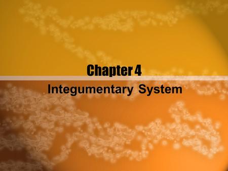 Chapter 4 Integumentary System.