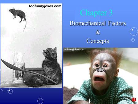 Biomechanical Factors & Concepts