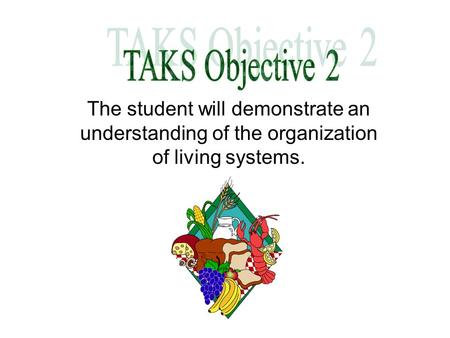 TAKS Objective 2 The student will demonstrate an understanding of the organization of living systems.