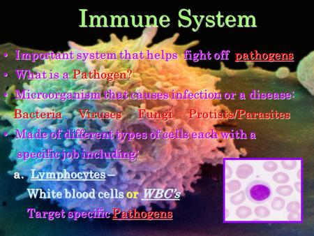 Immune System Important system that helps fight off pathogens What is a Pathogen? Microorganism that causes infection or a disease: Bacteria Viruses Fungi.