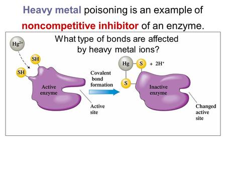 Heavy metal poisoning is an example of noncompetitive inhibitor of an enzyme. What type of bonds are affected by heavy metal ions?