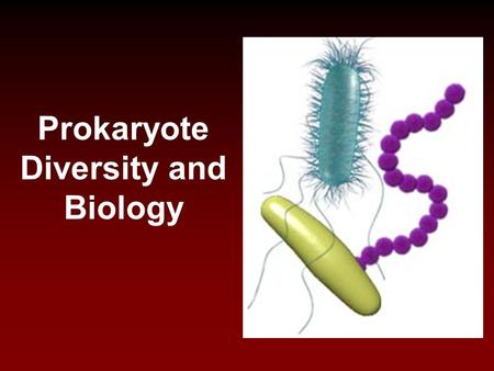 Prokaryote Diversity and Biology. I. Classification A. The Original 5 Kingdom system 1. Monera (Prokaryotic, unicellular) 2. Protista (Eukaryotic, unicellular)