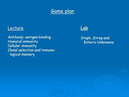 Game plan Lecture Lab Antibody- antigen binding Staph, Strep and