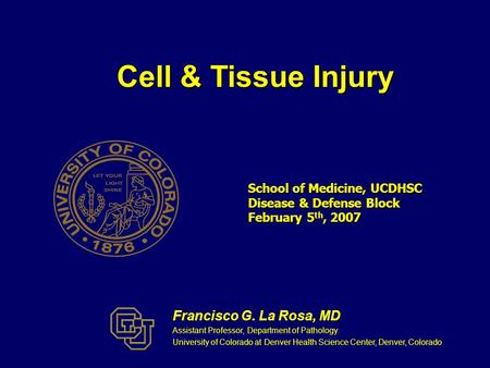 School of Medicine, UCDHSC Disease & Defense Block February 5 th, 2007 Cell & Tissue Injury Francisco G. La Rosa, MD Assistant Professor, Department of.