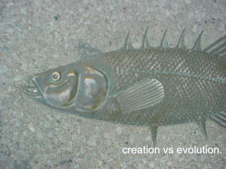 Creation vs evolution.. arguments for evolution. micro into macro. presumed. creation is a cop out.