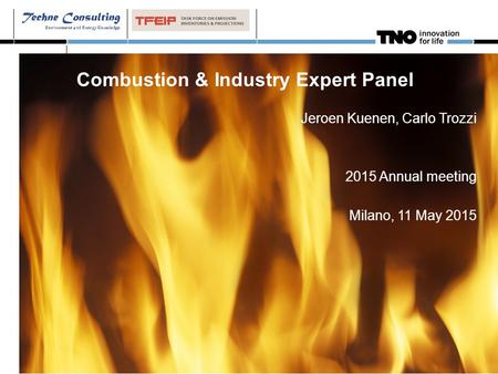 Combustion & Industry Expert Panel Jeroen Kuenen, Carlo Trozzi 2015 Annual meeting Milano, 11 May 2015.