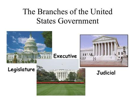The Branches of the United States Government