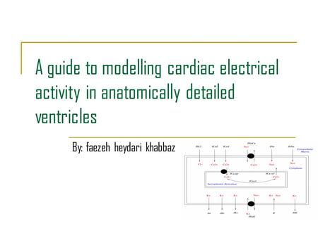 A guide to modelling cardiac electrical activity in anatomically detailed ventricles By: faezeh heydari khabbaz.