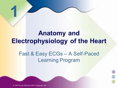 Anatomy and Electrophysiology of the Heart