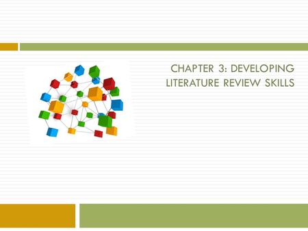 phd literature review ppt