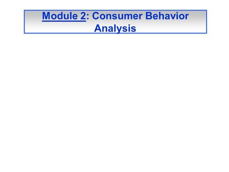 Module 2: Consumer Behavior Analysis. Factors affecting the Online Consumer’s Behavior Other Stimuli: Personal and environmental Uncontrollable Factors.