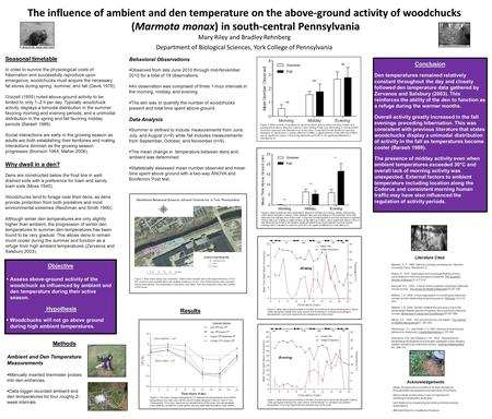The influence of ambient and den temperature on the above-ground activity of woodchucks (Marmota monax) in south-central Pennsylvania Mary Riley and Bradley.