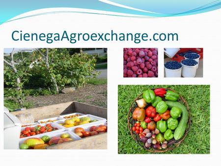 CienegaAgroexchange.com. Executive Summary Increasing demand for sustainable agricultural products Commercialization of sustainable production not bullet.